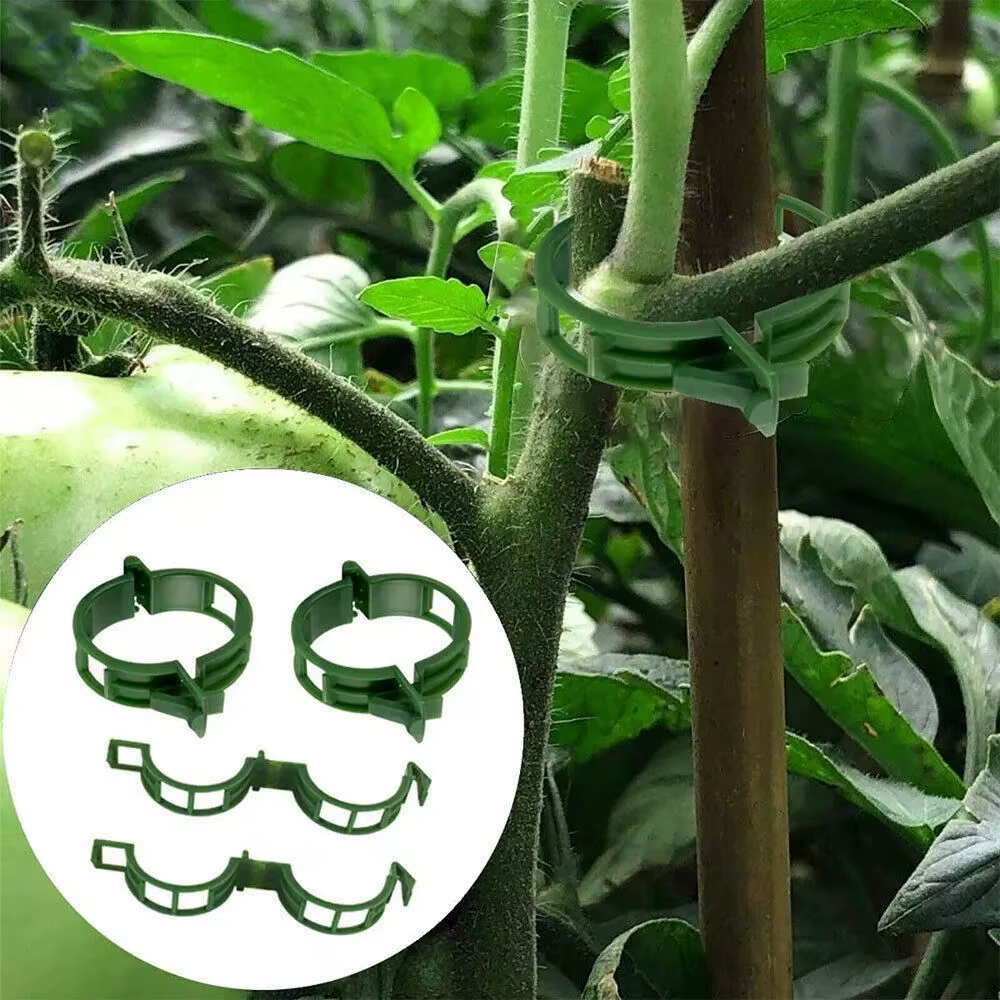 Clips de Support pour plantes en plastique