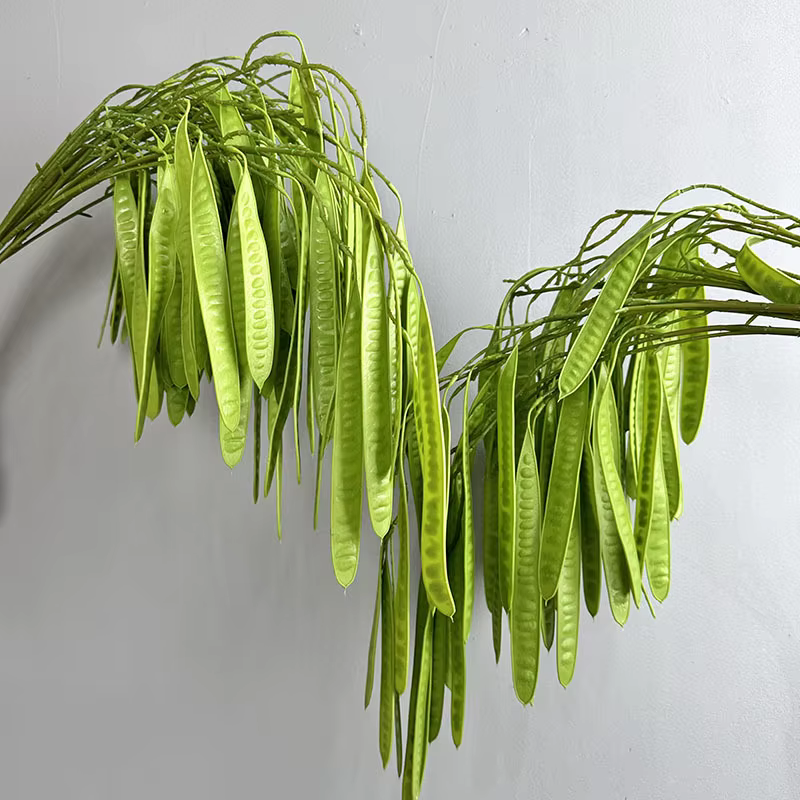 Haricots artificiels au toucher réel