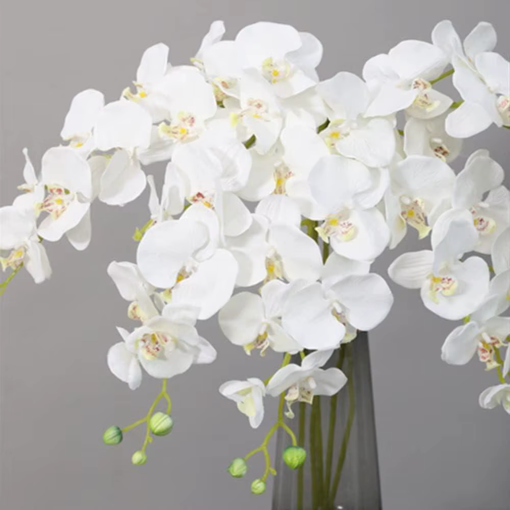 70 cm orchidée Phalaenopsis fausses fleurs
