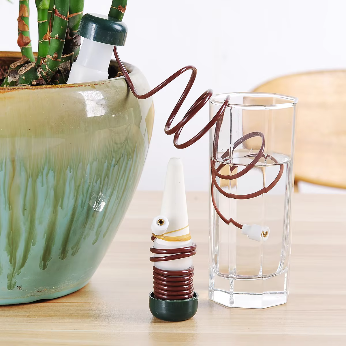 Plantes arrosoir auto-arrosage goutte-à-goutte automatique racine goutteur d'eau jardin fleur succulente bonsaï en pot dispositif d'arrosage