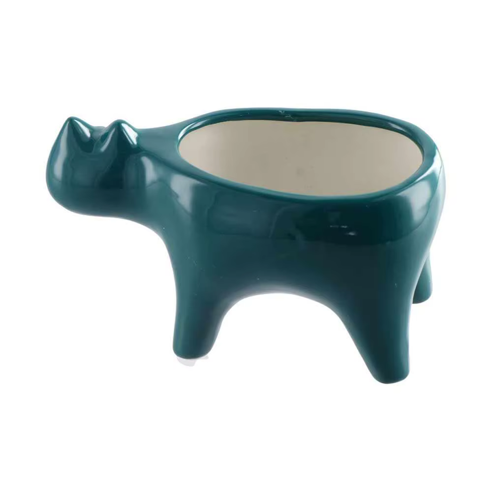 Pot de balcon en Pot pour chat succulent