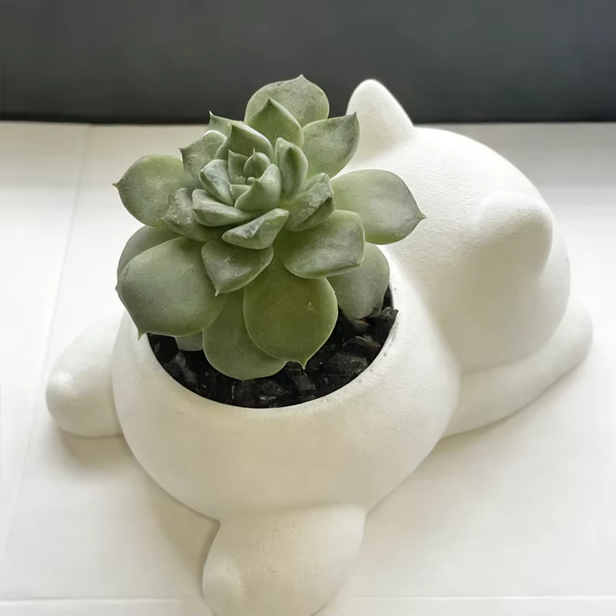 1 pot de fleurs en forme de chat couché de style dessin animé