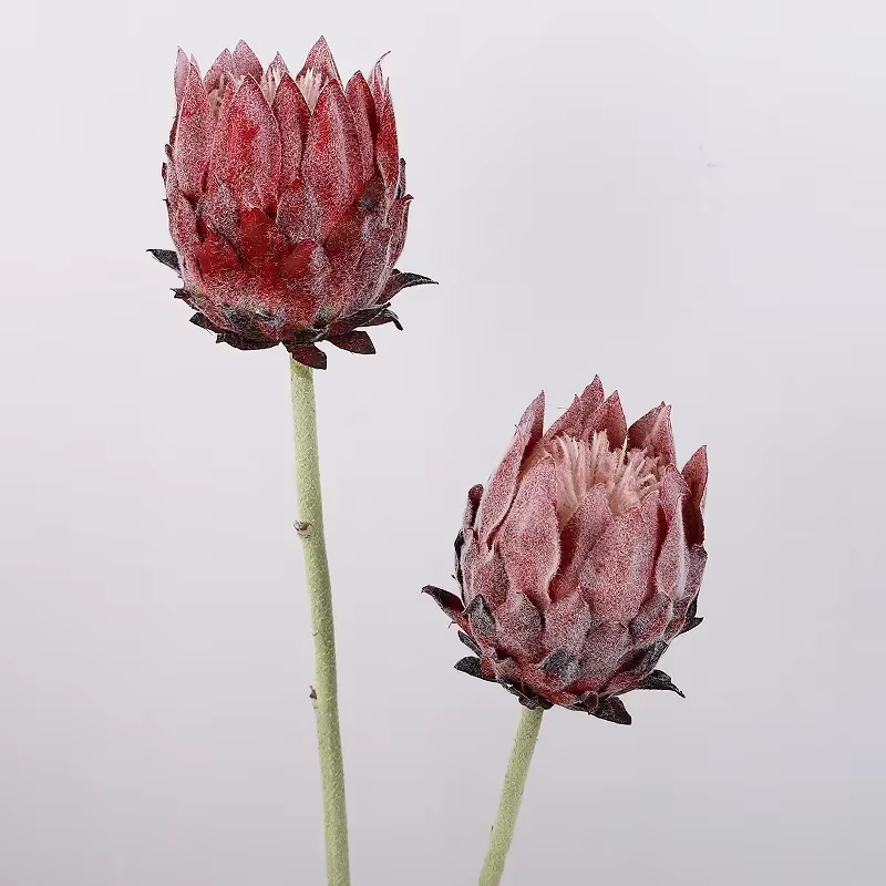 Artificielle haut de gamme unique nordique flocage artichaut fleur décoration de la maison accessoires de photographie