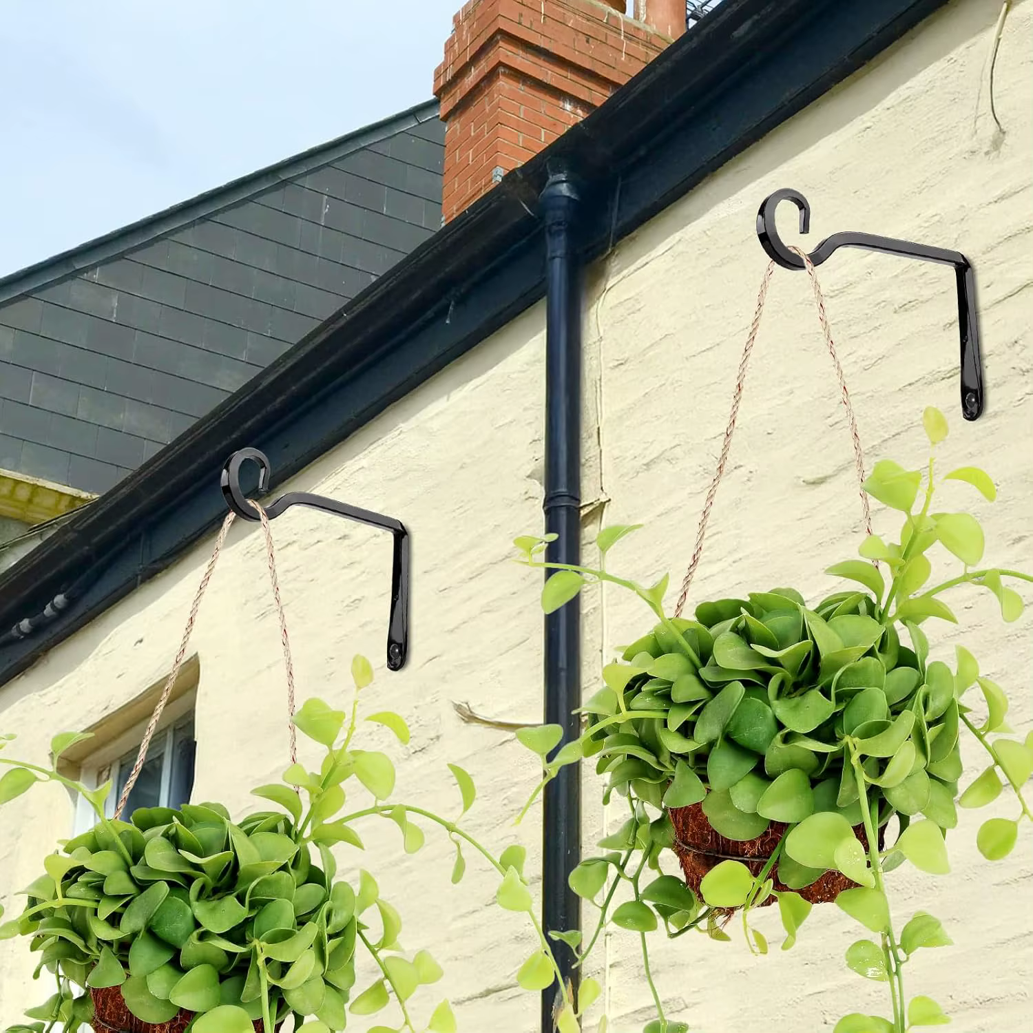 Cintre pour plantes de 6/10 pouces