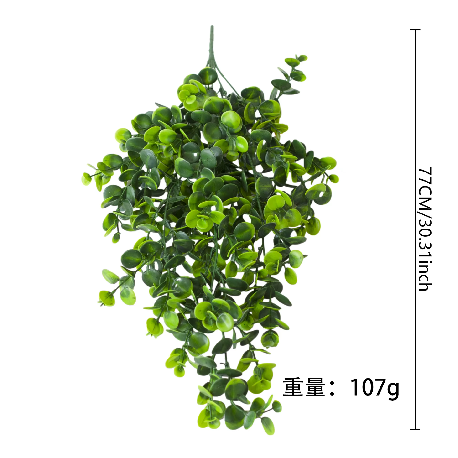 Plante verte artificielle d'eucalyptus