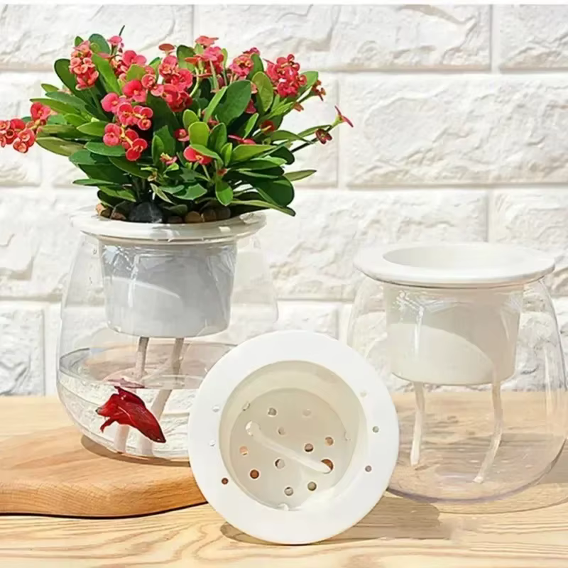 6 pots auto-arrosants, mini pots ronds pour plantes succulentes