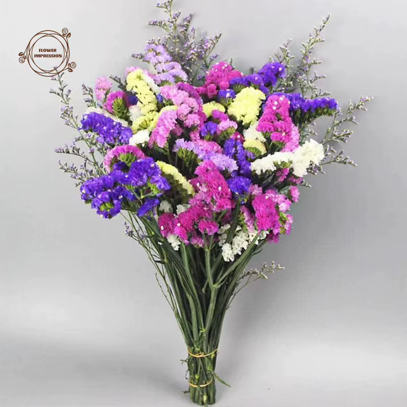 Bouquet de fleurs séchées naturelles