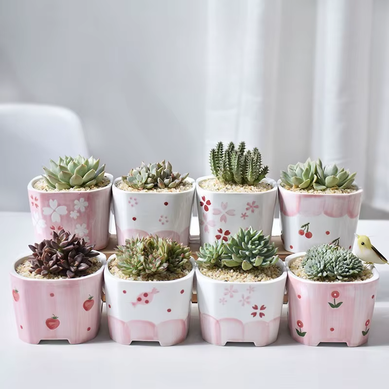 Pot de fleurs succulentes carré en céramique peint à la main pour fille rose