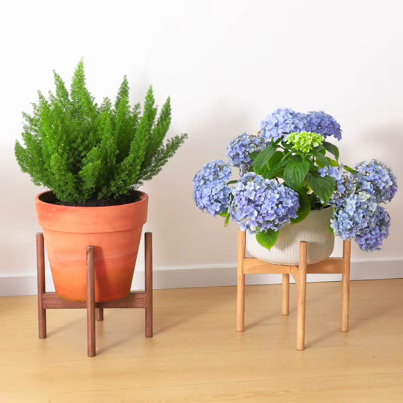 Support pour plantes en bois massif