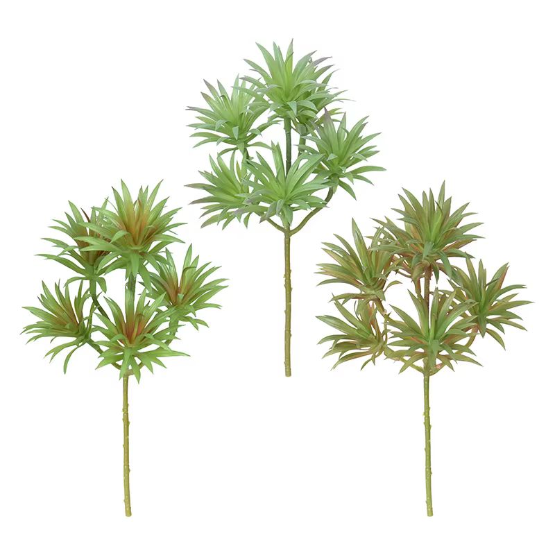 Simulation de plantes vertes du désert tropicaux