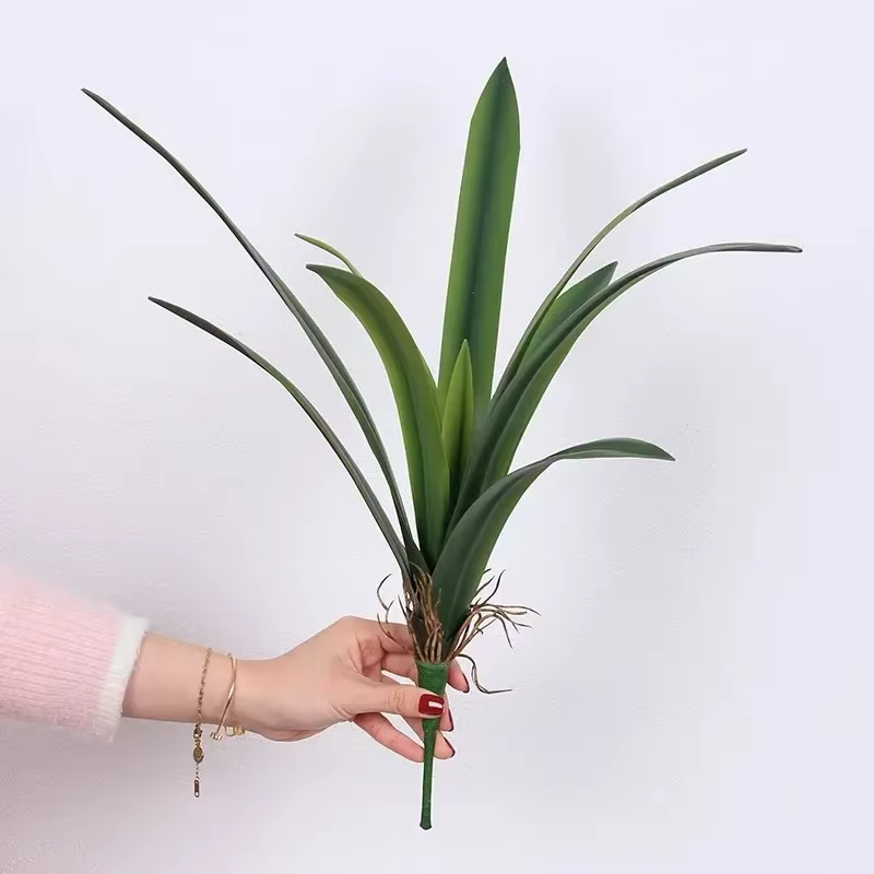Feuilles de clivia artificielles décoratives d'étude