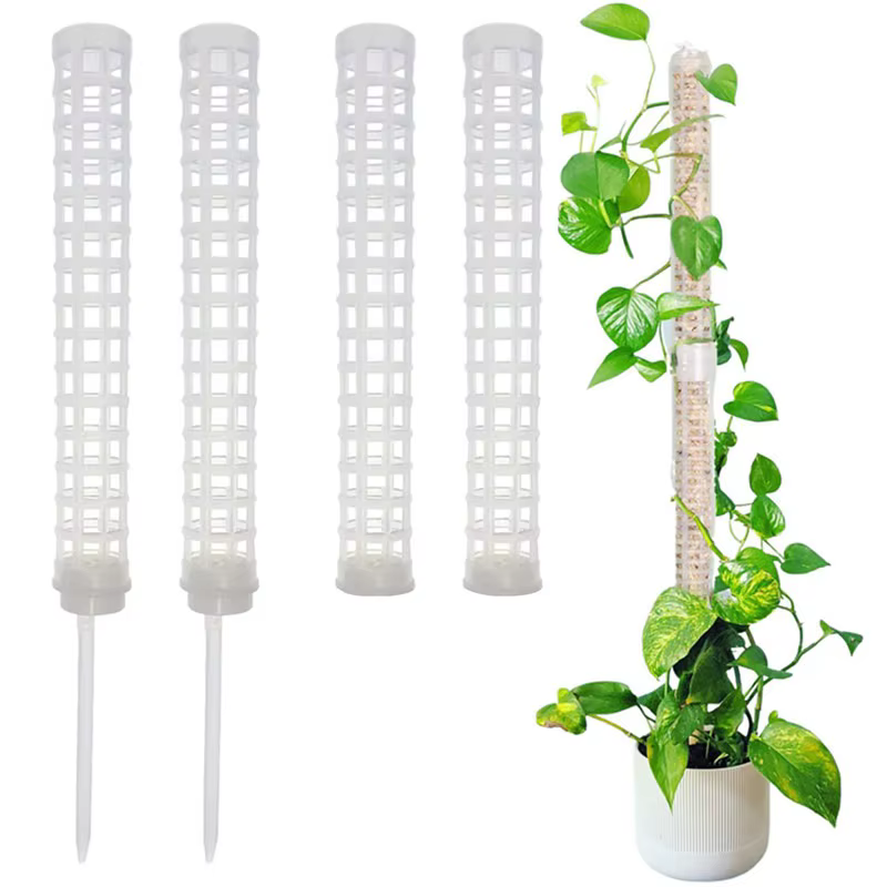 Cadre d'escalade pour plantes d'intérieur