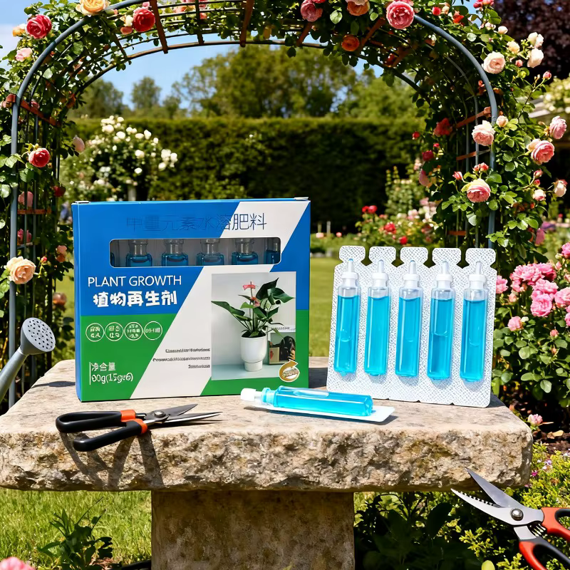 Plante d'intérieur riche en nutriments