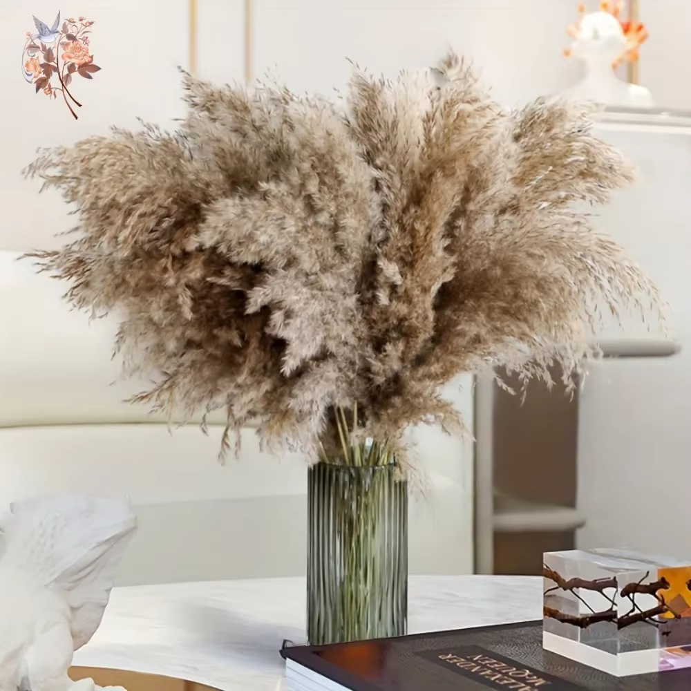 Bouquet d'herbe de la pampa séchée naturelle pour décoration bohème