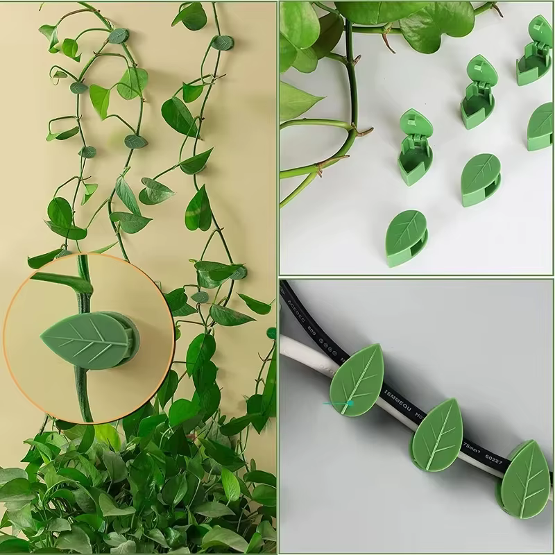 Support de Traction pour plantes de vigne
