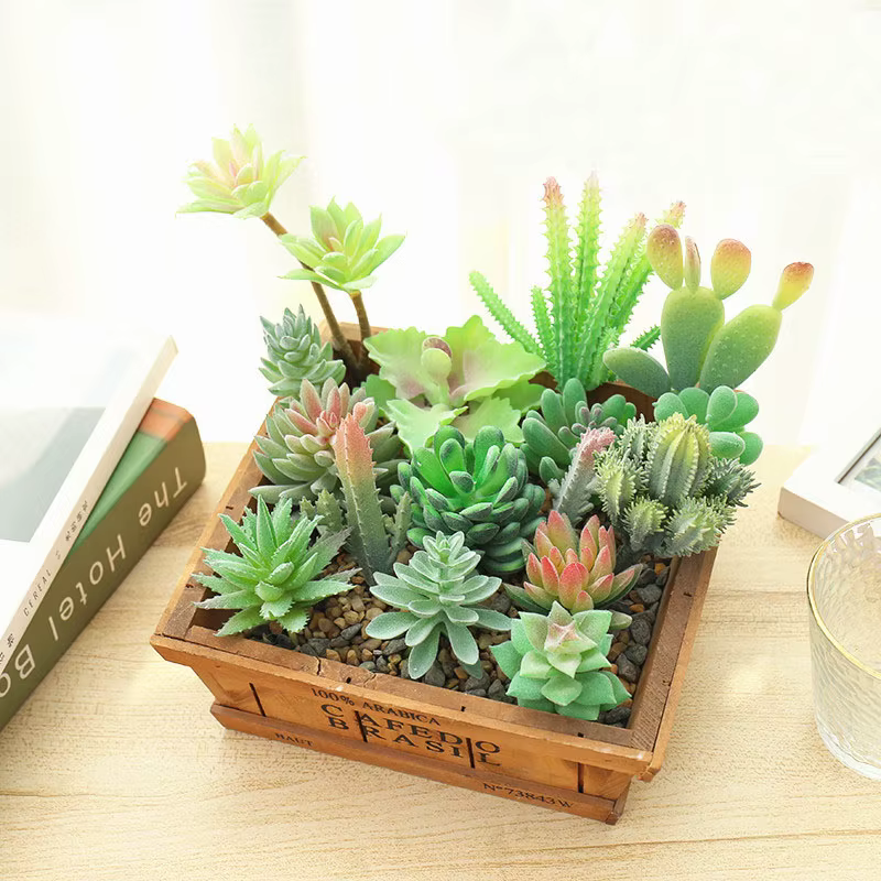 Plantes succulentes artificielles floquées vertes
