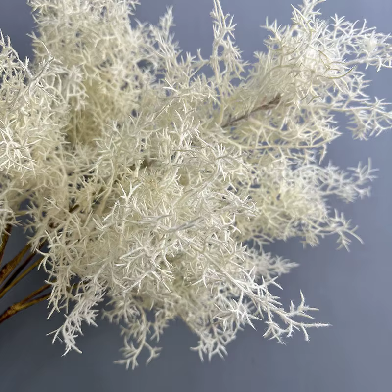 Plantes vertes enrichies de brume artificielle