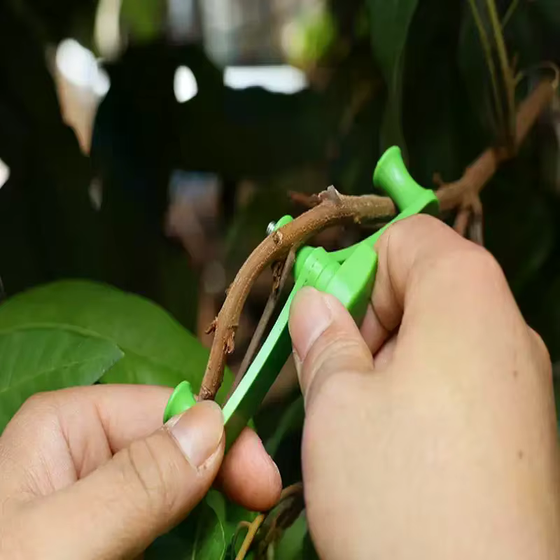 Clips de cintreuse de branches de plantes réglables