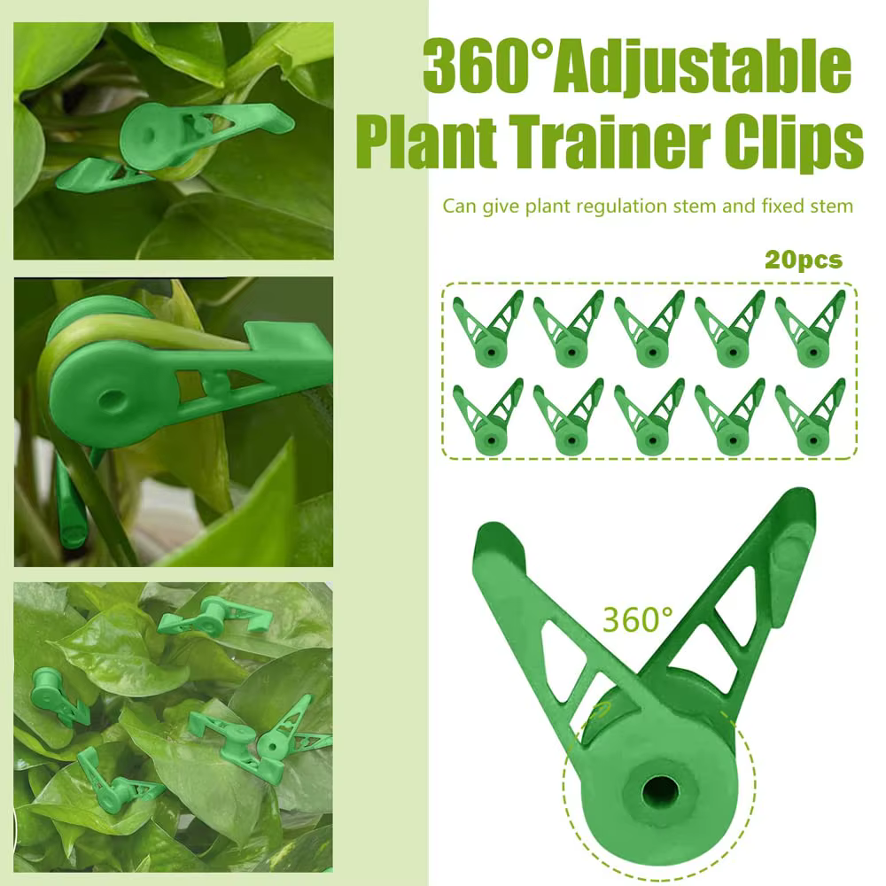 Clips d'entraînement pour cintreuse de Branches de plantes