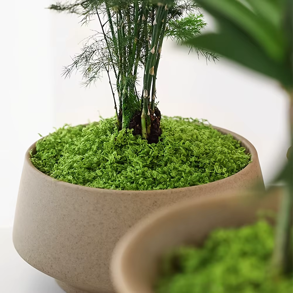 Mousse artificielle de simulation de micro paysage pour plantes en pot