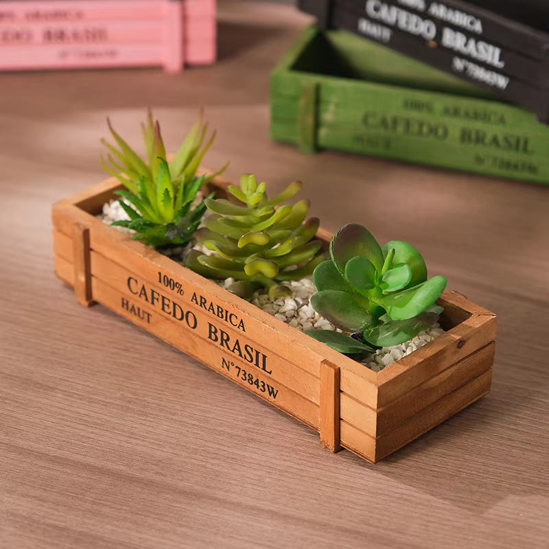 Jardinière en bois rustique pour plantes succulentes