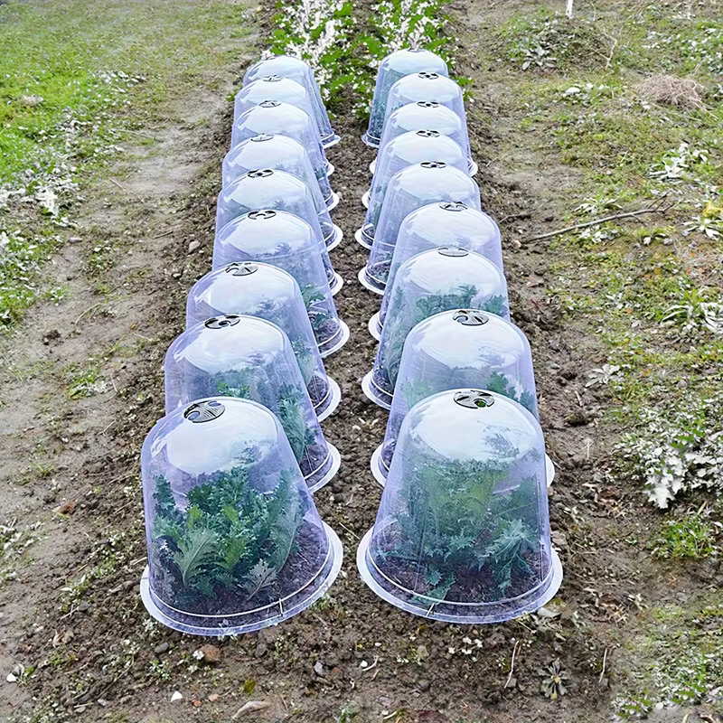 Dôme de protection contre l'humidité pour plantes en plastique réutilisable