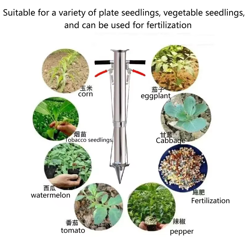 Transplanteur de semis pour légumes