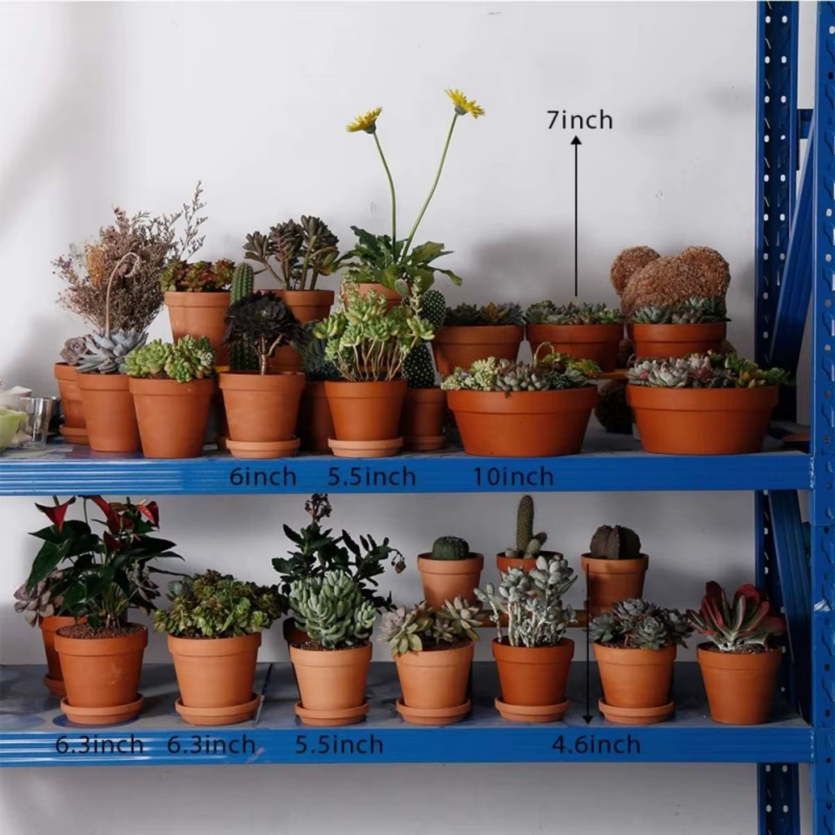 Pots de fleurs en terre cuite