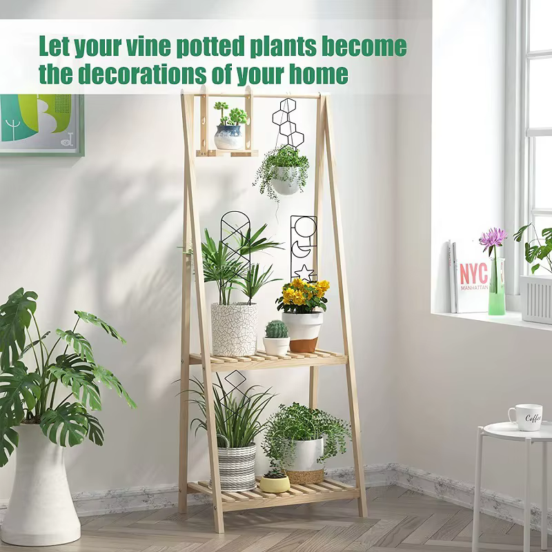 Cadre d'escalade en métal pour plantes