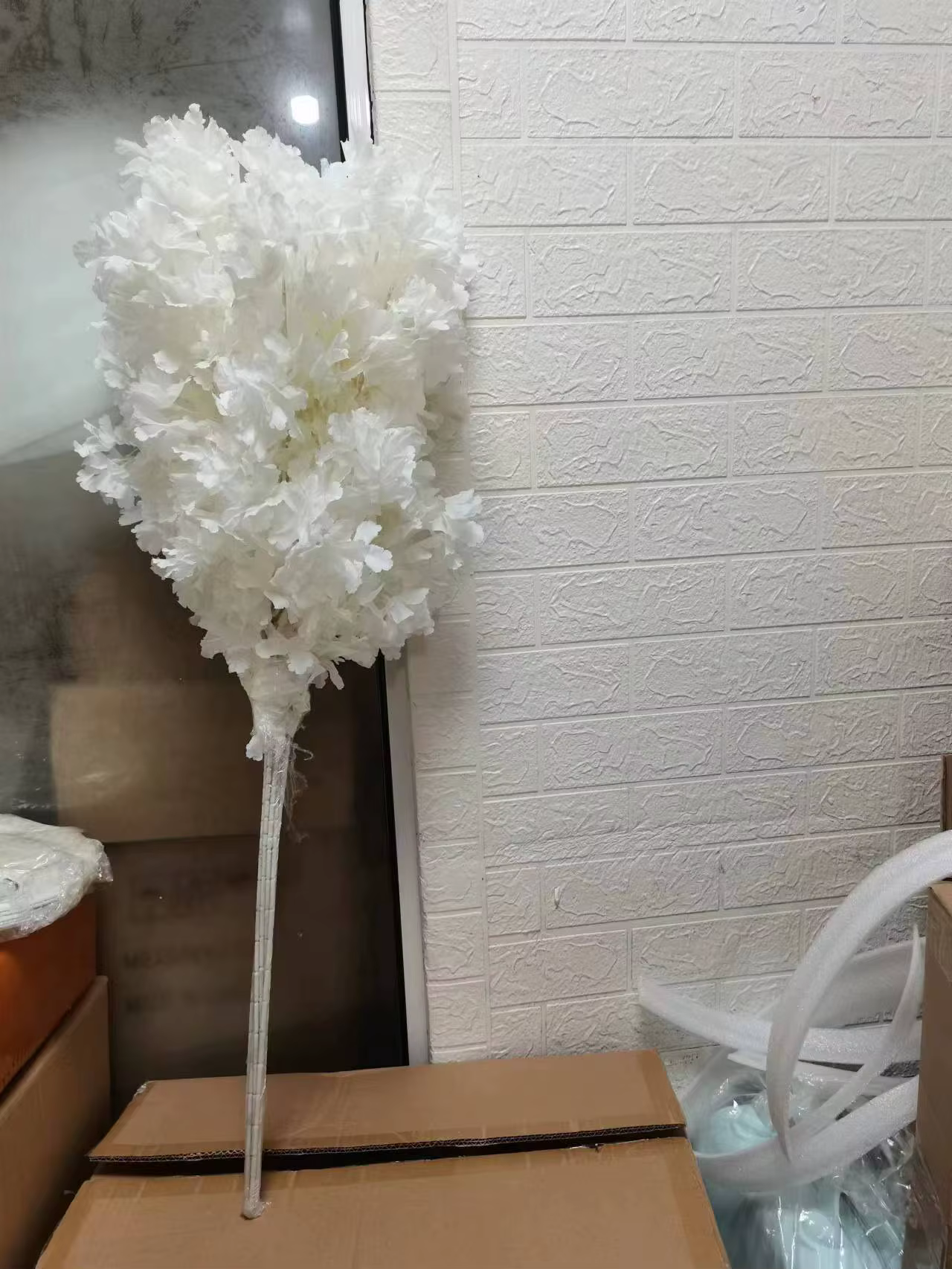 Branches de pouvez-vous psophile Blanches