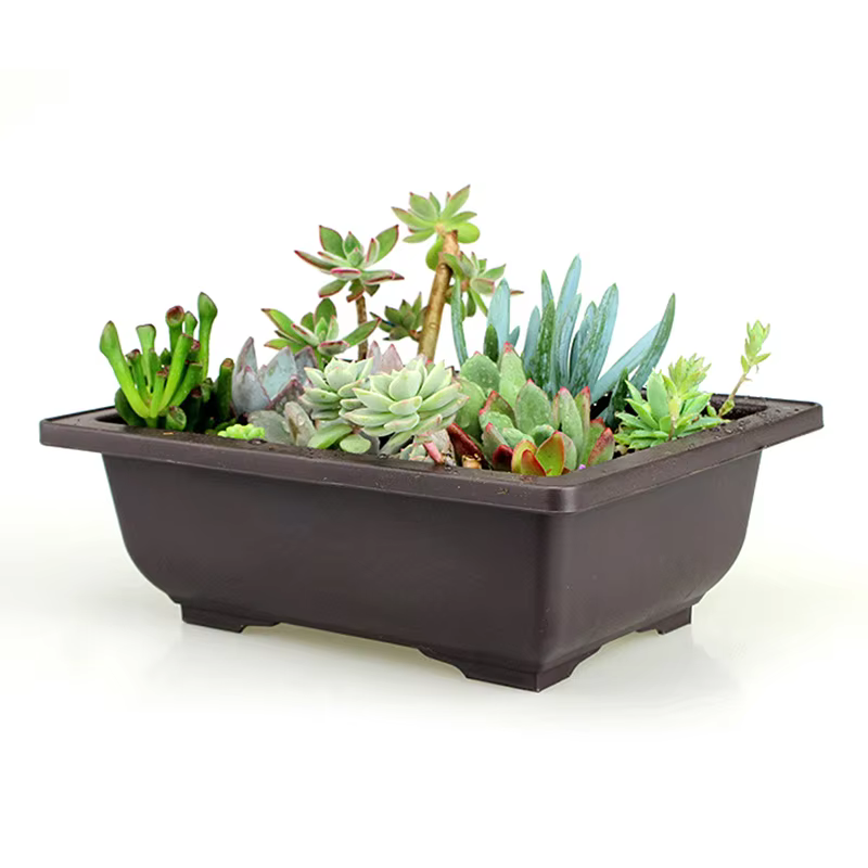 Pot de fleur en plastique
