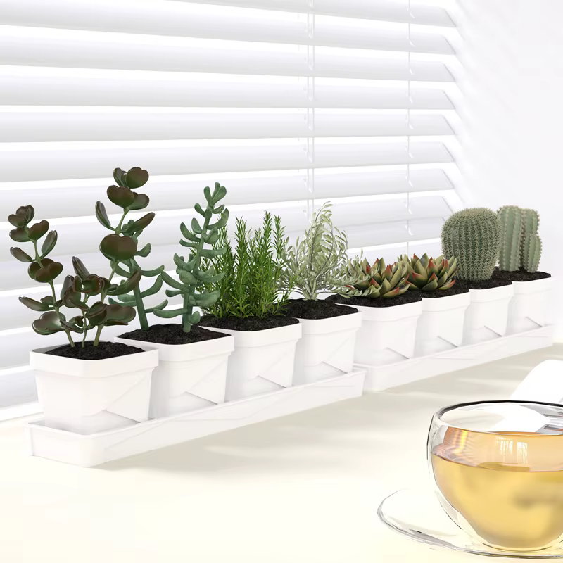 Pot à succulentes minimaliste nordique avec plateau
