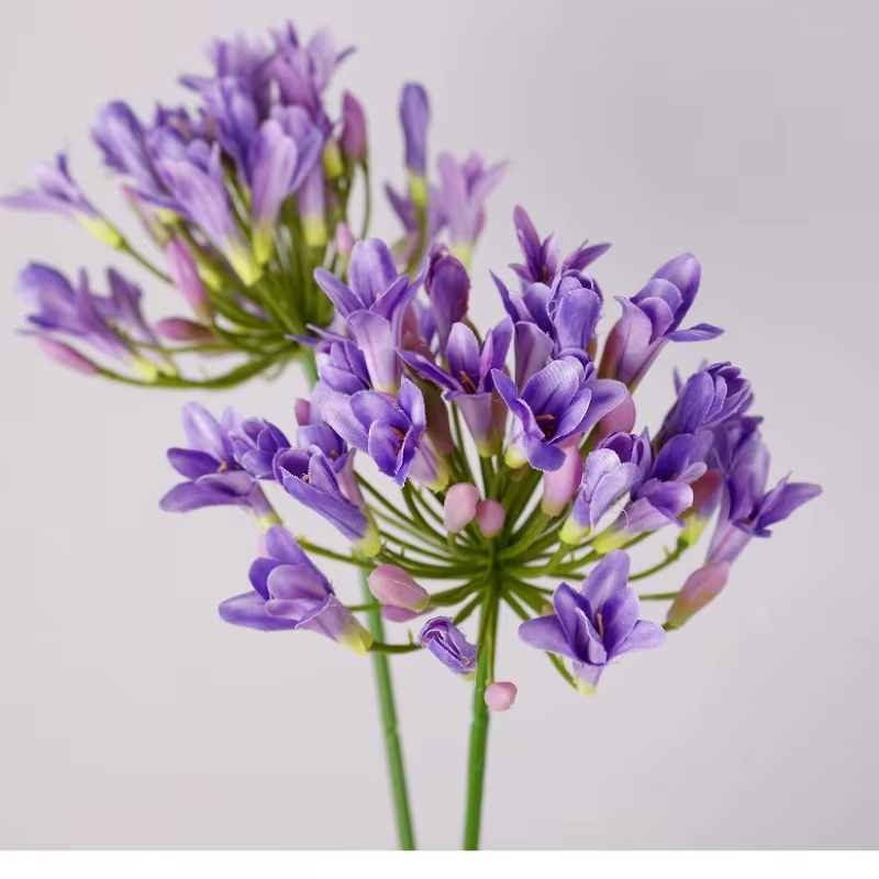 6 pièces de fleurs artificielles en soie Agapanthus