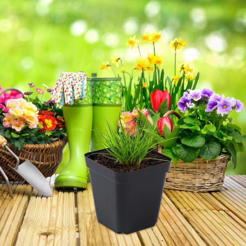 Pots de semis 50 pièces carrés plante semis-gobelet de plantation en plastique pépinière profonde arbre Pot fleur