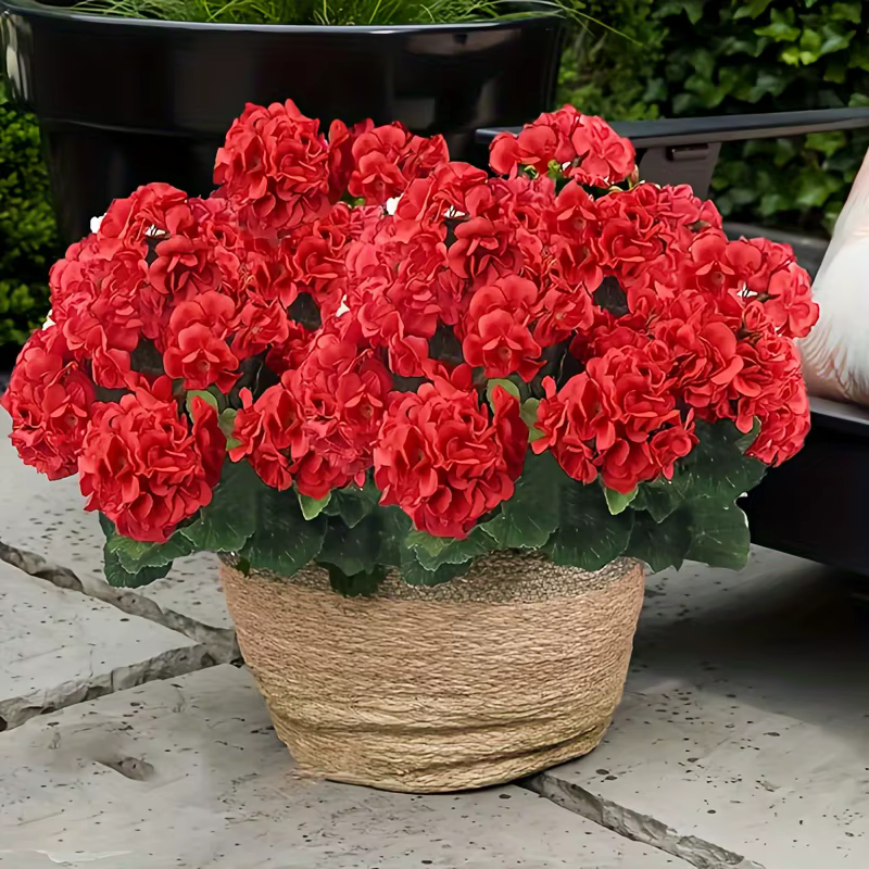 Un Bouquet de fleurs de géranium artificielles en fausse soie