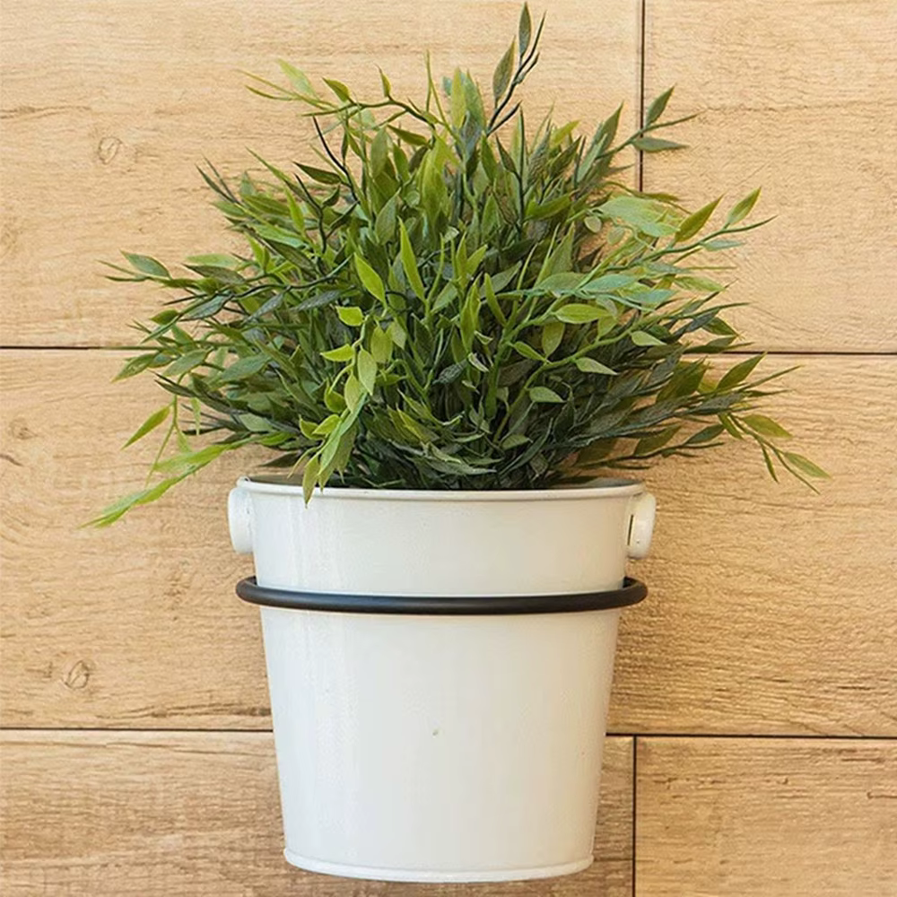 ​ Anneau de support pour plantes