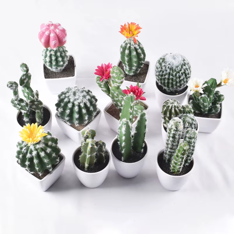 Cactus artificiel en pot plante verte Simulation succulente en pot fausses plantes