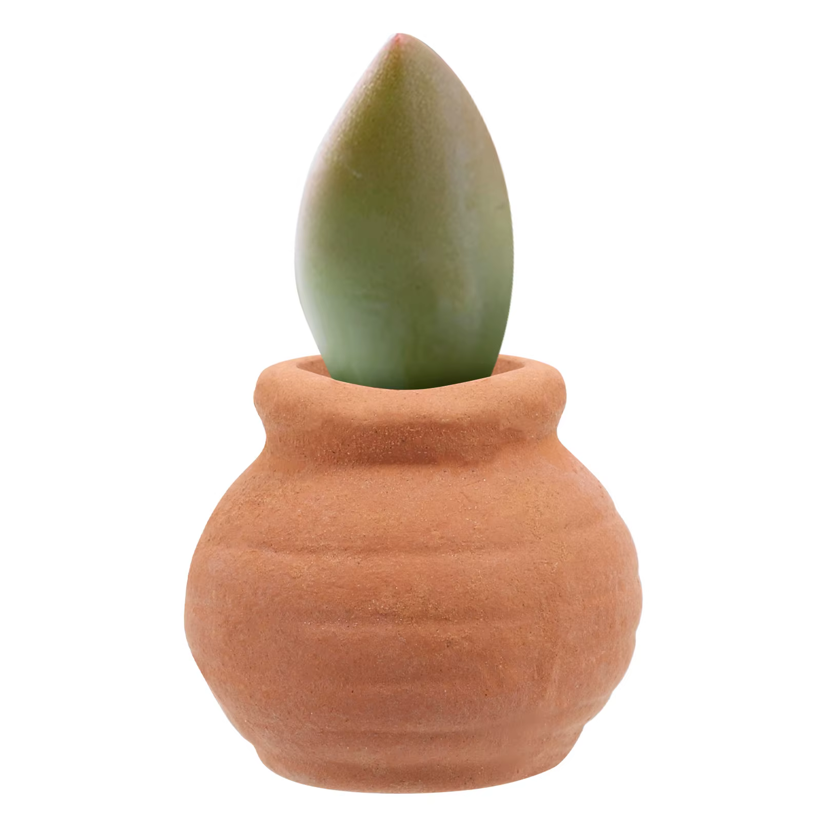 8 petits pots en argile