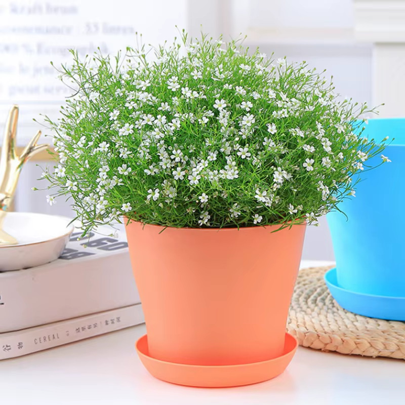 Pots de fleurs en plastique pour extérieur