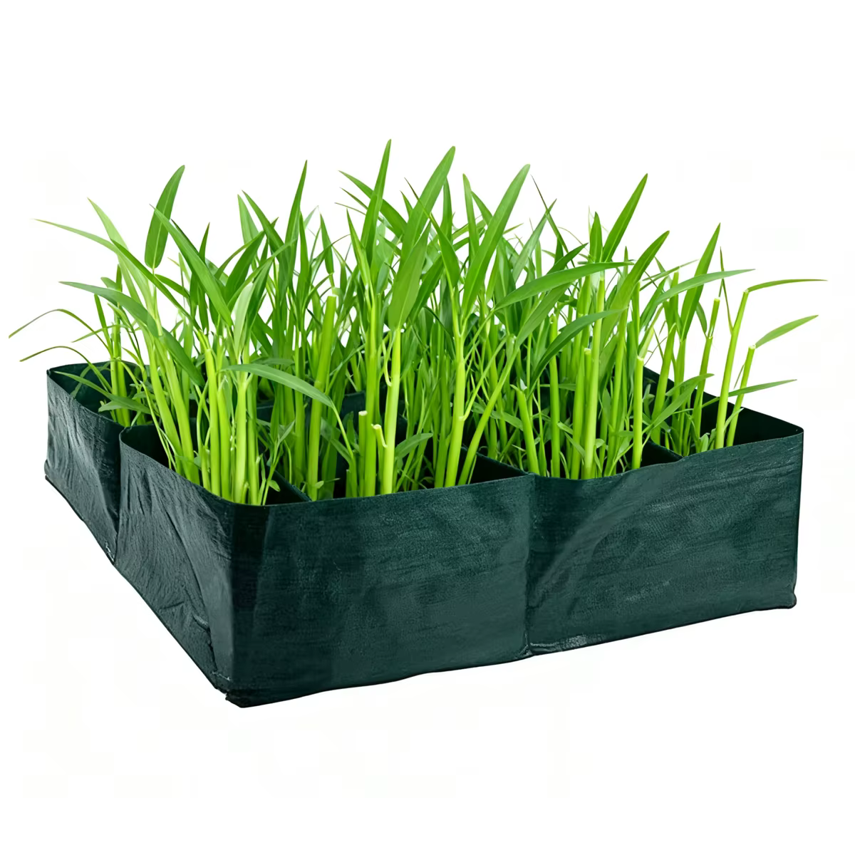 Sac de culture de plantes