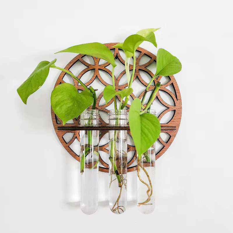 Station de propagation de plantes