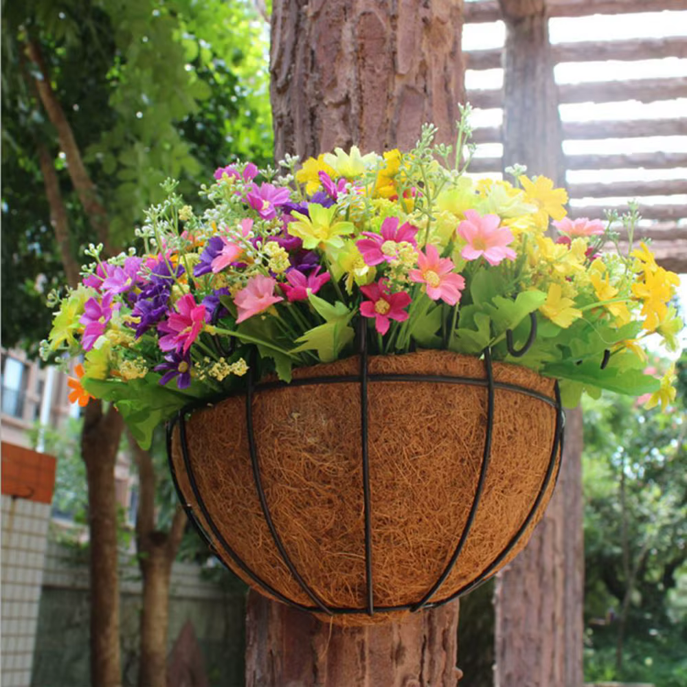 Fleurs d'intérieur et d'extérieur N1N