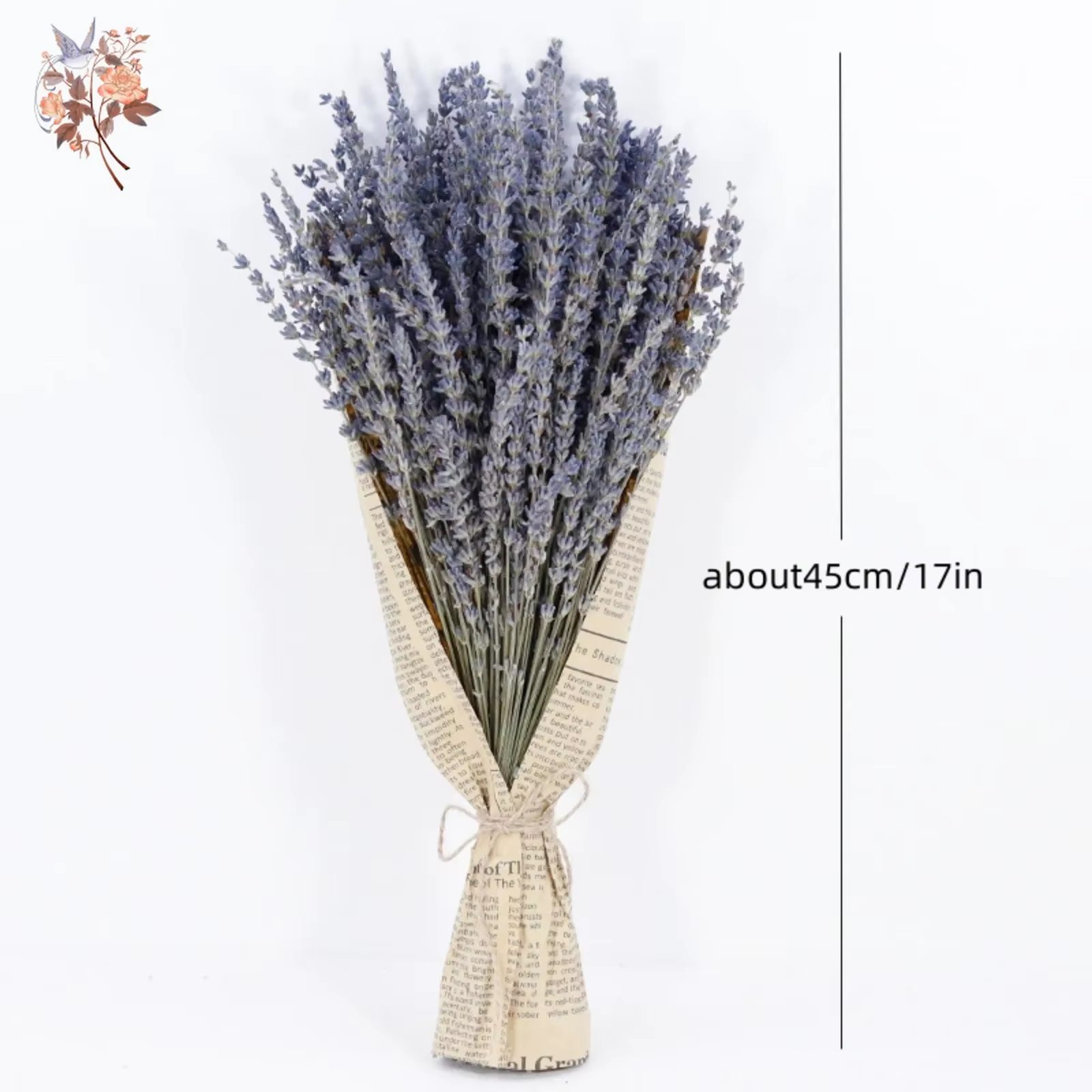 Bouquets de fleurs séchées naturelles de µpour la décoration intérieure