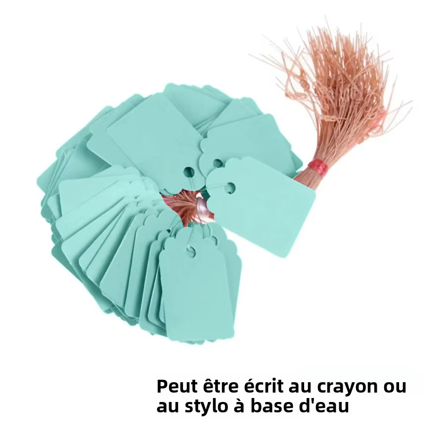Étiquettes de plantes réutilisables