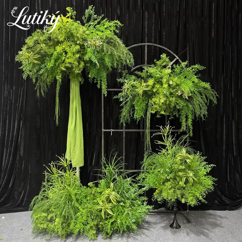 Série de plantes vertes d'extérieur