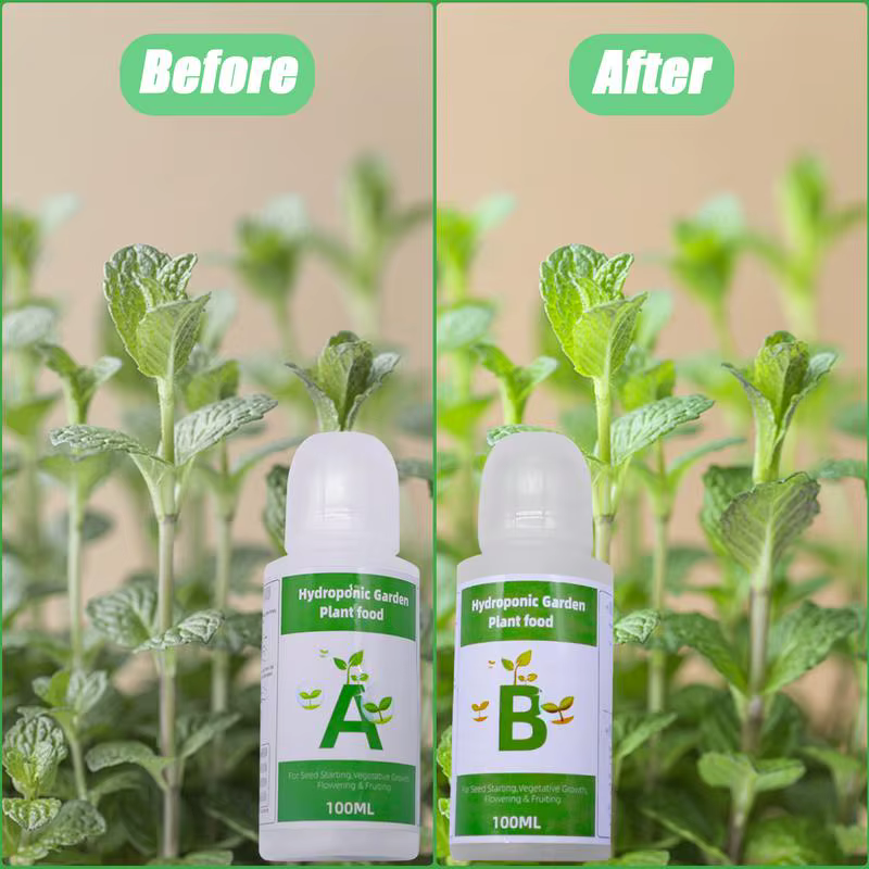 Engrais hydroponique A et B pour plantes de jardin