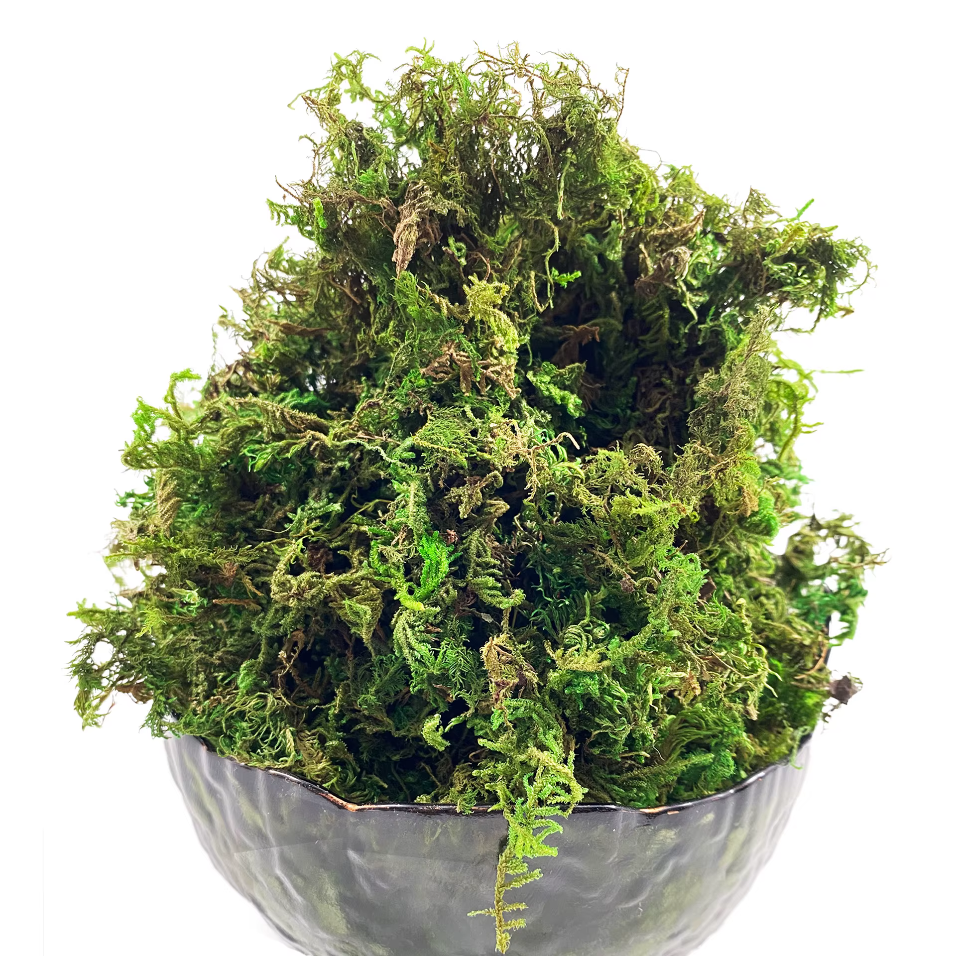 Mousse artificielle verte pour plante en pot