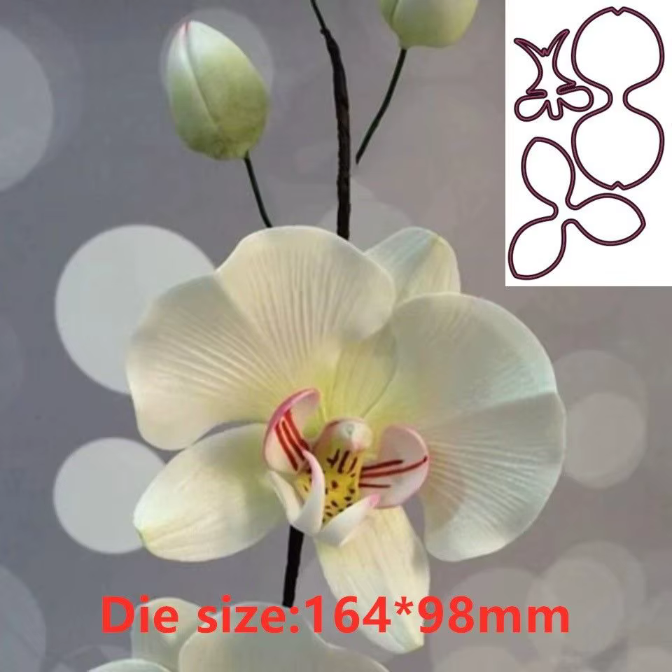 Matrices découpées en métal fleur d'orchidée