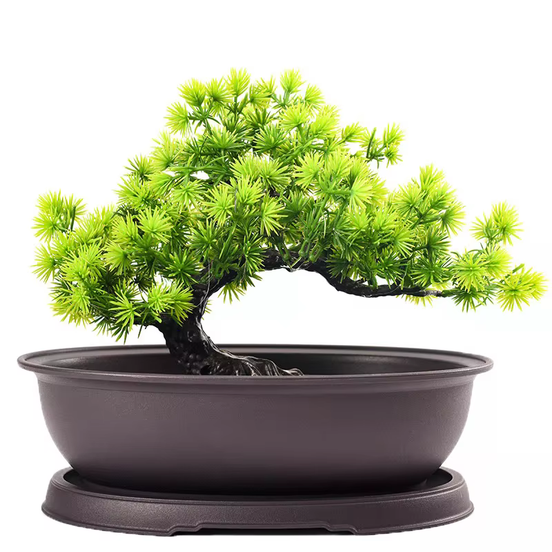 Pots de fleurs en plastique imitation argile violette pour plantes succulentes