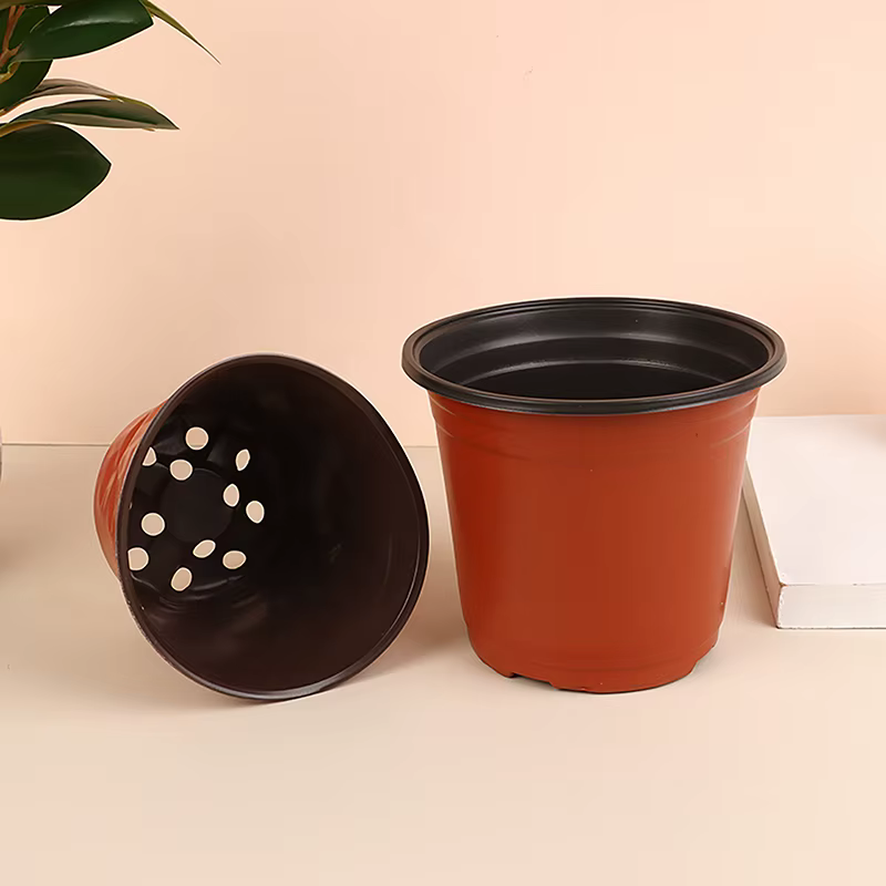 Pot de fleurs en plastique pour culture de plantes succulentes